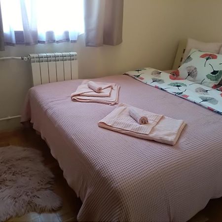 Apartman Nina Vojvode Stepe Vozdovac Vozdivac ภายนอก รูปภาพ